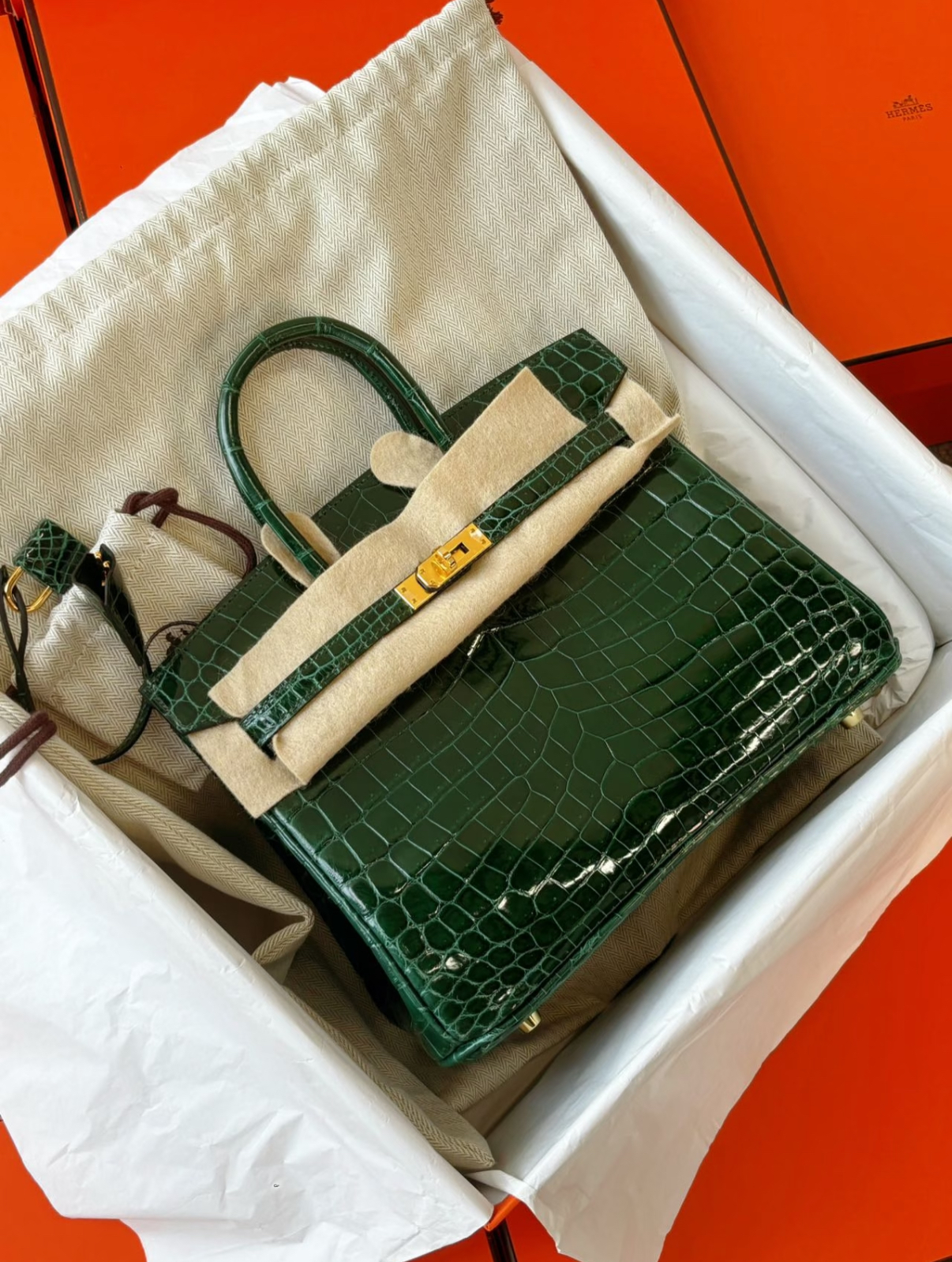 Hermès Birkin 25-35 Emerald Bay Crocodile Leather