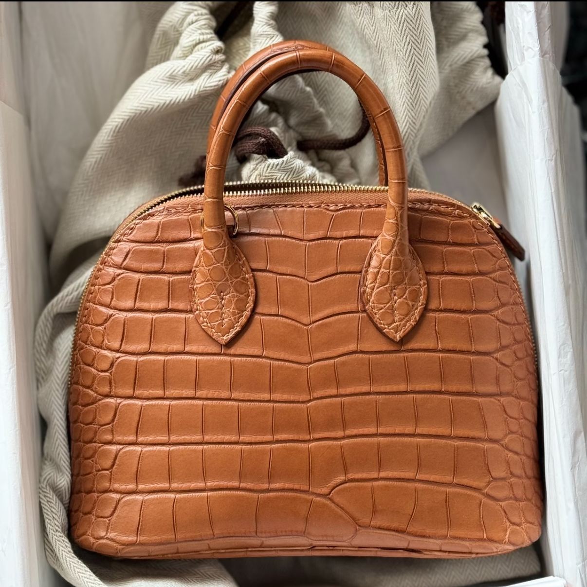 Bolide Mini 18CM Matte crocodile leather brown