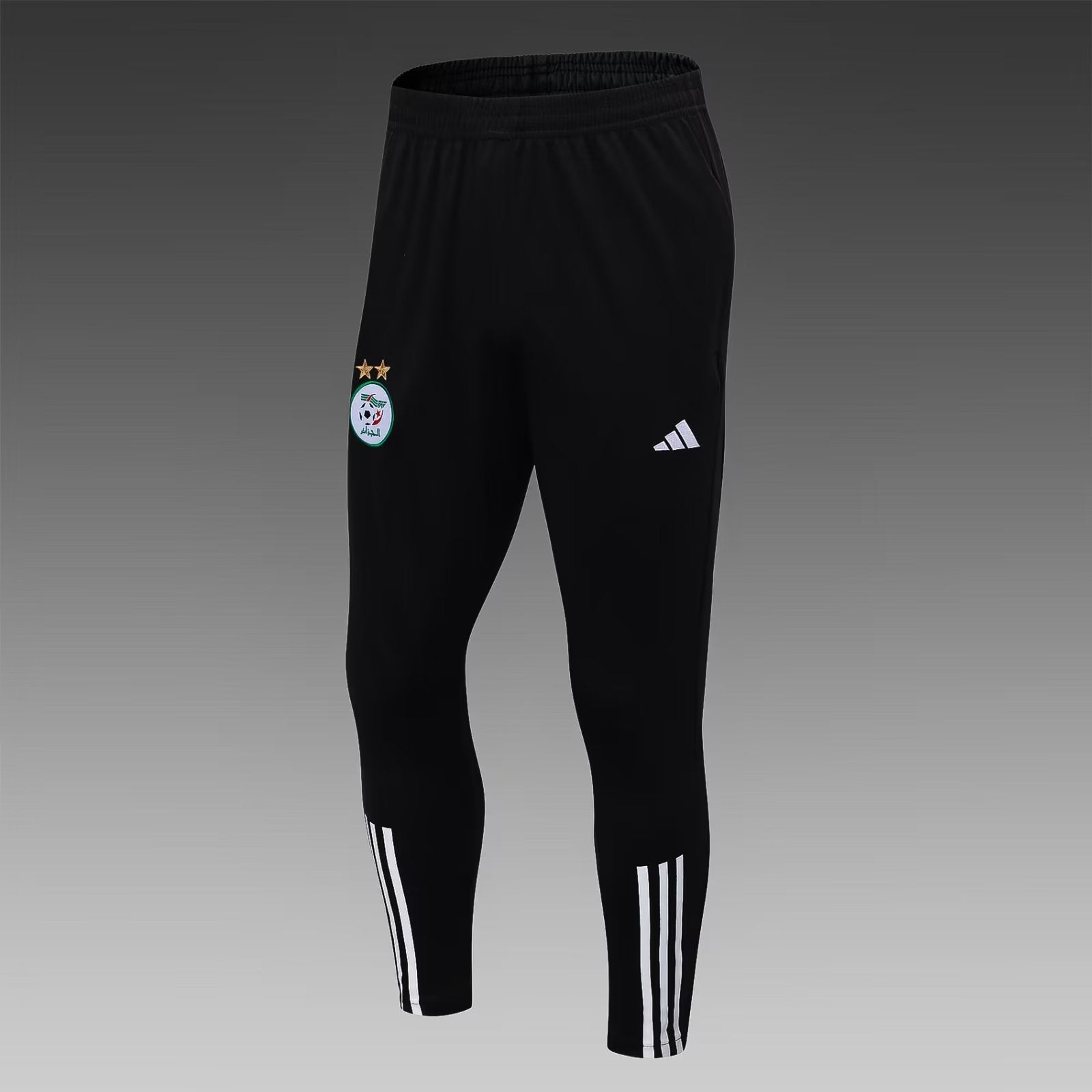 2023/2024 Algeria Half-Pull Training Suit Black Shirt