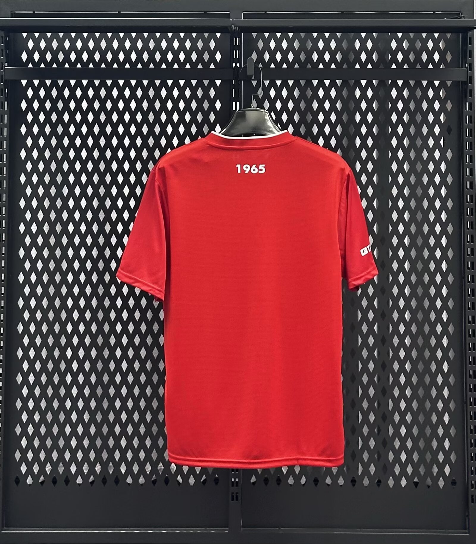 25-26 Twente Home Jersey - Fan Edition