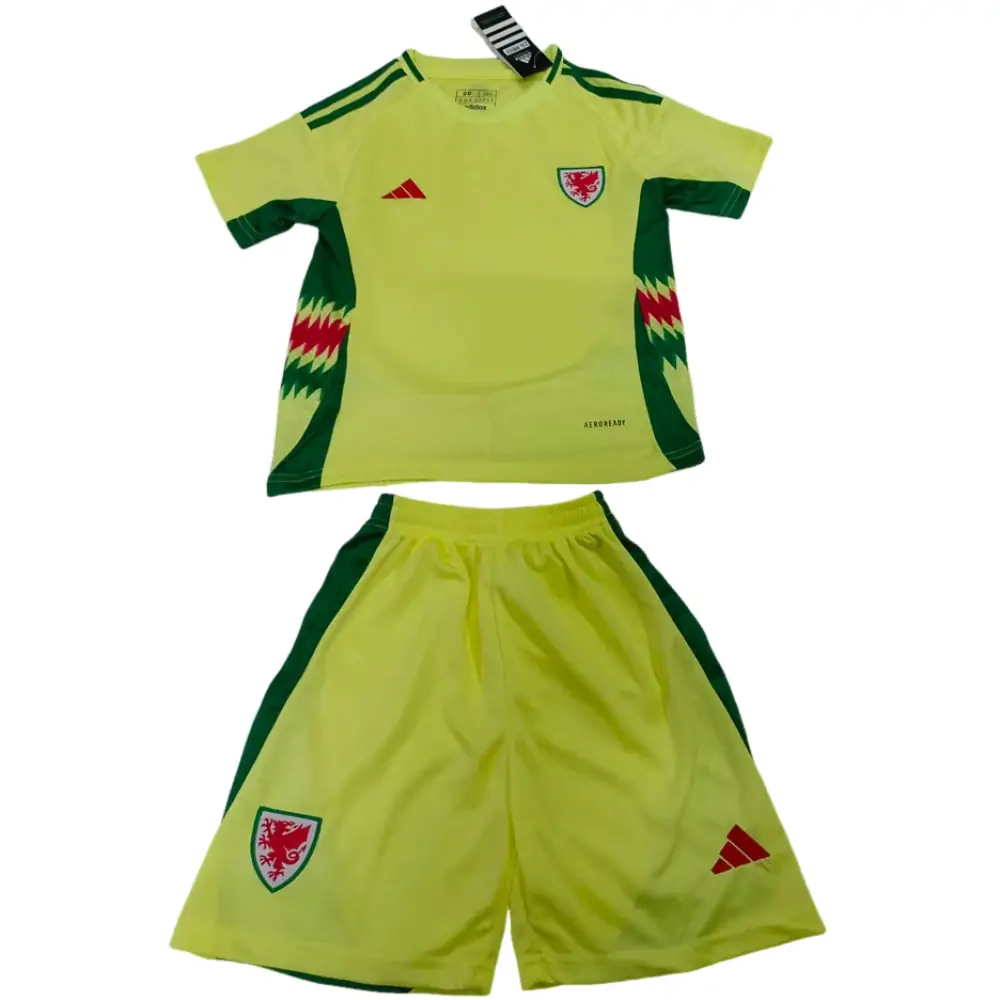 2024-25 Wales Away Children's Jersey Set - Fans Edition