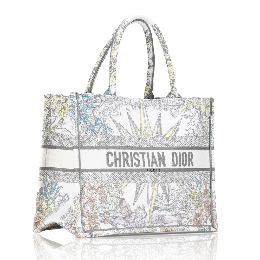 Dior Book Tote Starlight & Star Tote Bags