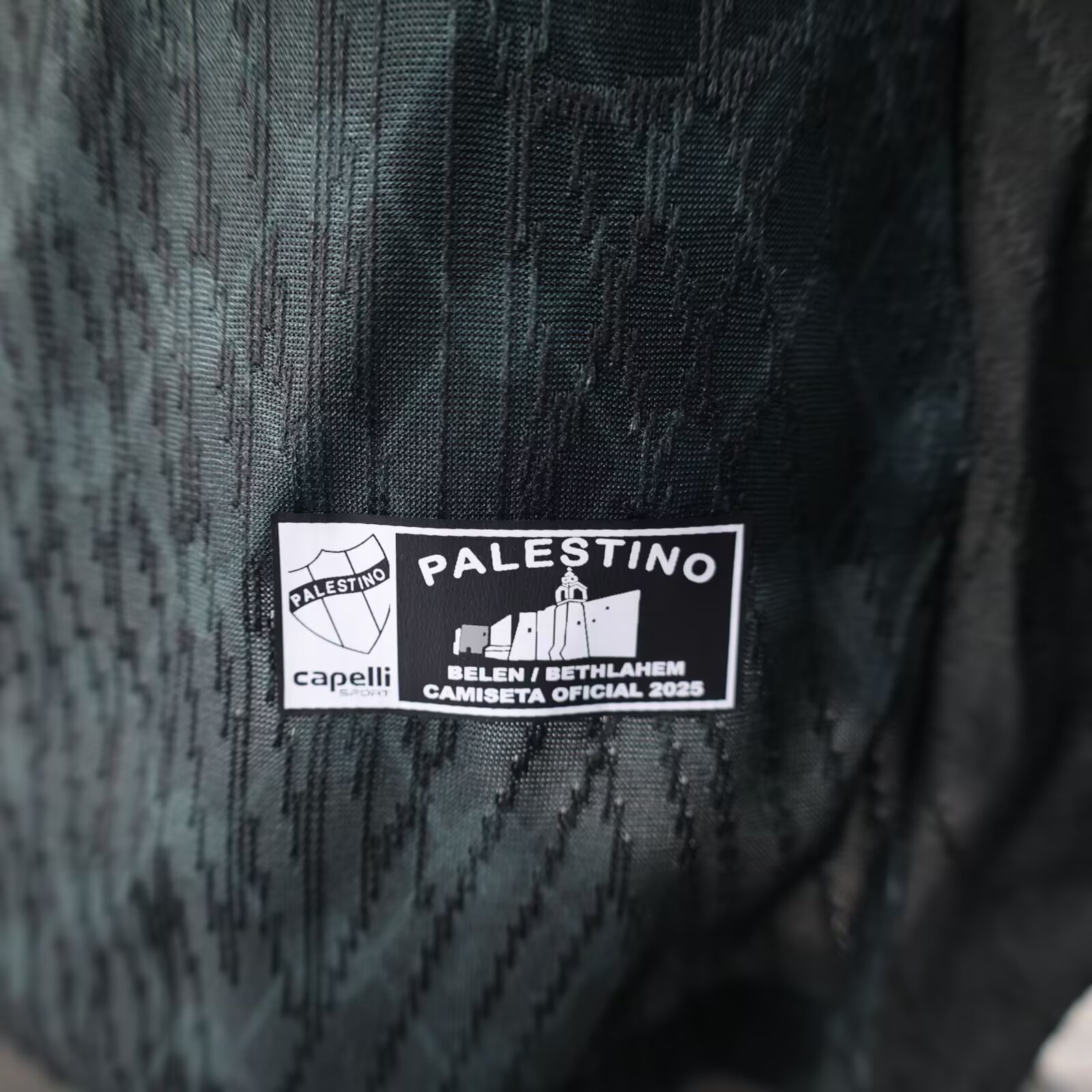 2025/2026 Player Version Palestine Away Football Shirt 1:1 Thai Quality