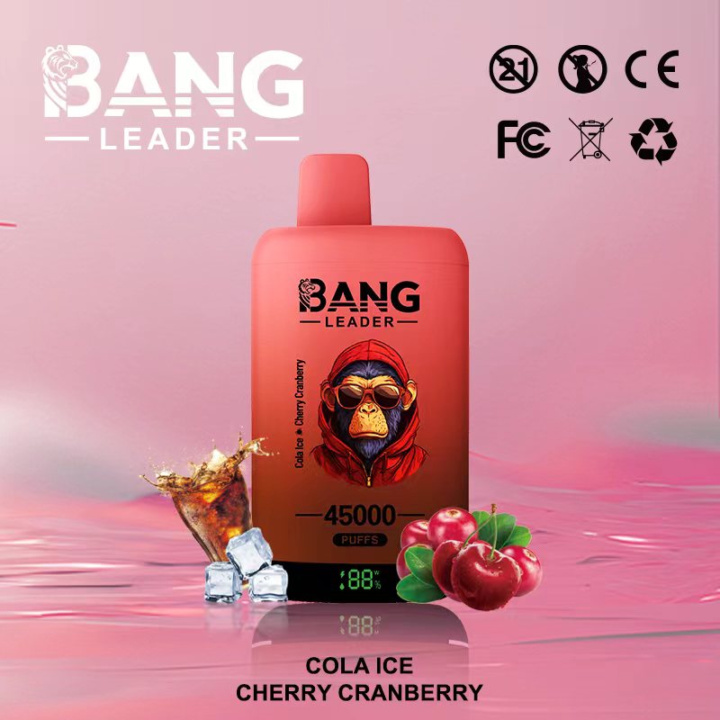 Bang Leader 45k Puffs 2-in-1