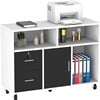 Dextrus 2 Drawer Wood File Cabinet, Mobile Lateral Filing Cabinet with Lock, Printer Stand with Open Storage Shelves for Home Office, Drawers Without Hanging Bars, Black