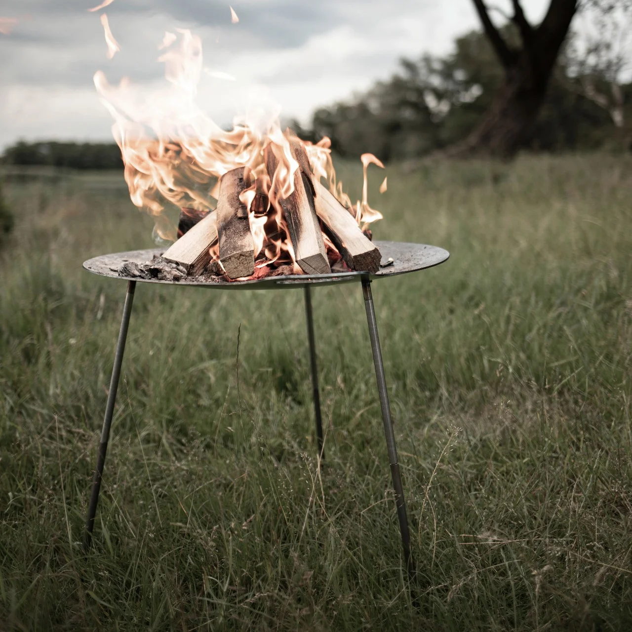 Petromax Campfire Griddle and Fire Bowl, Steel with 3 Removable Legs for Outdoor Campfire Cooking, Grilling and Frying or Build Fire Directly in Bowl, 15