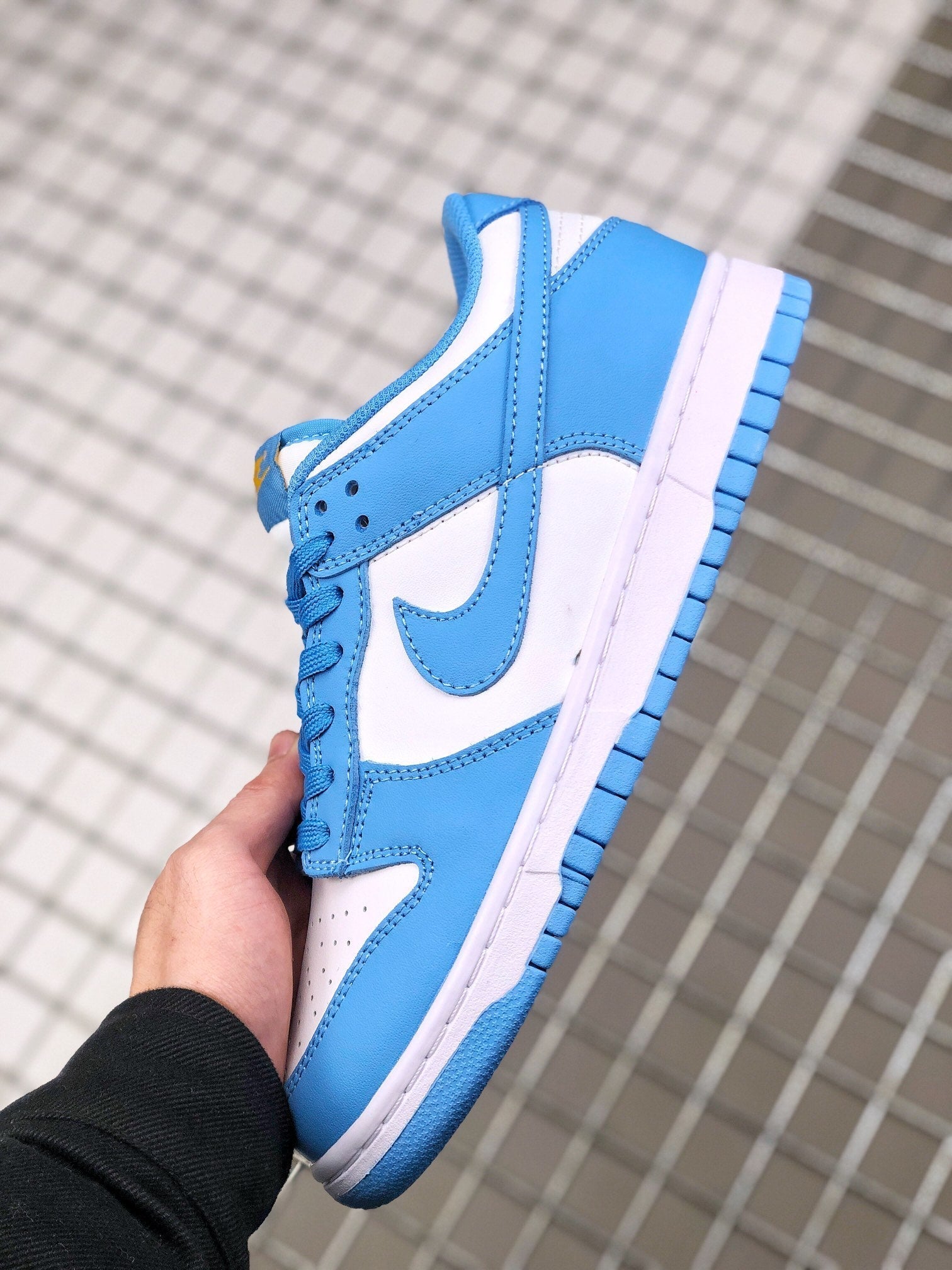 Dunk Low UNC West Coast