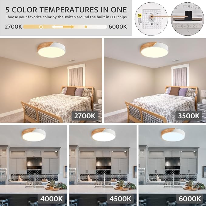 Modern Dimmable LED Ceiling Light