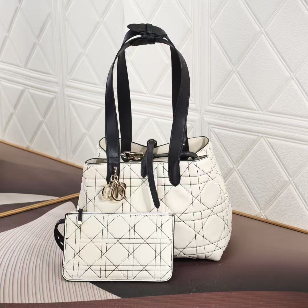 Dior Toujours Handbag