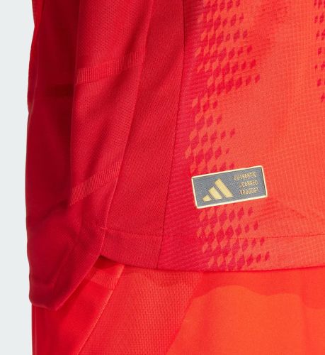 Bayern München 2024-25 Home Kit