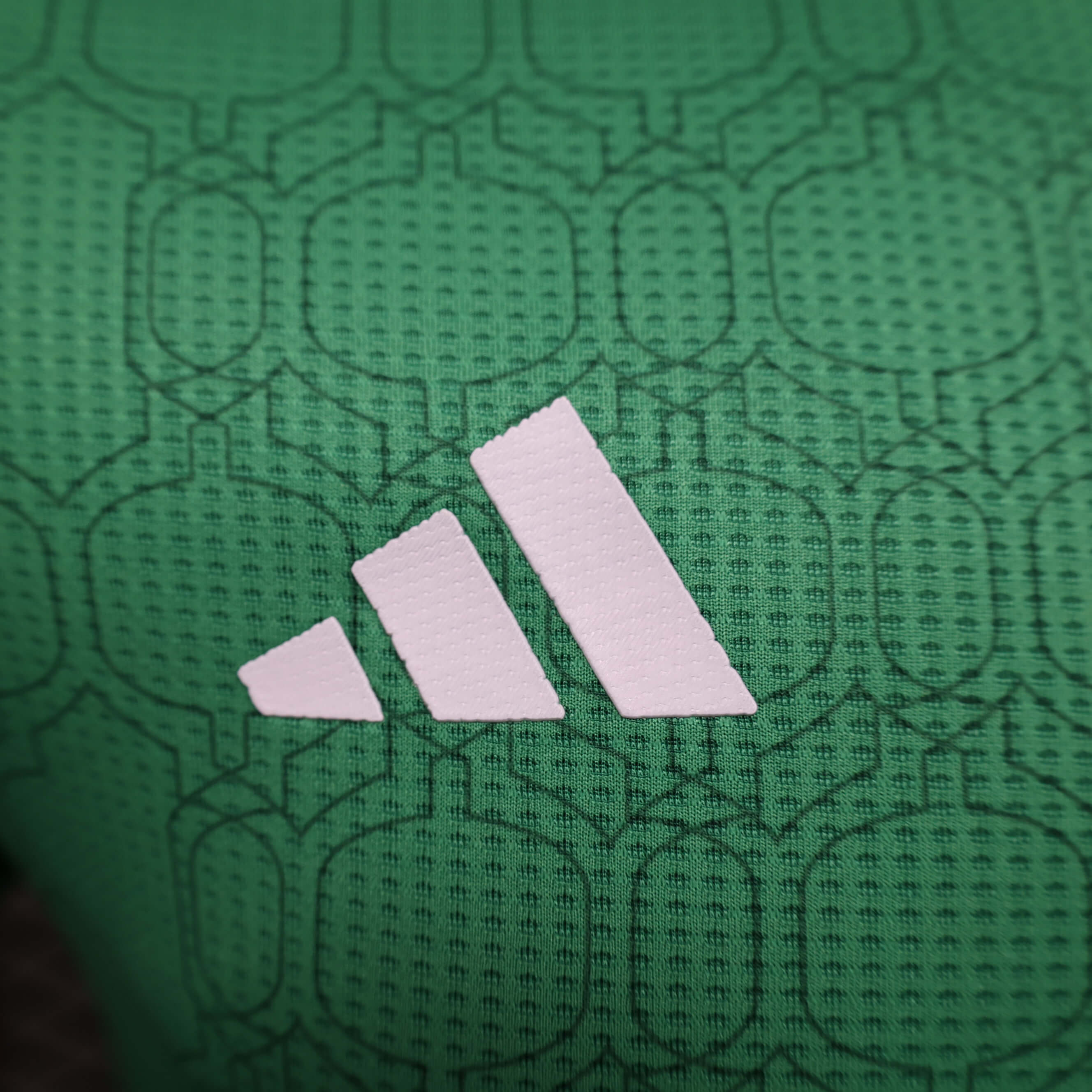 2024 Player Version Mexico Special Edition Green Soccer Jersey