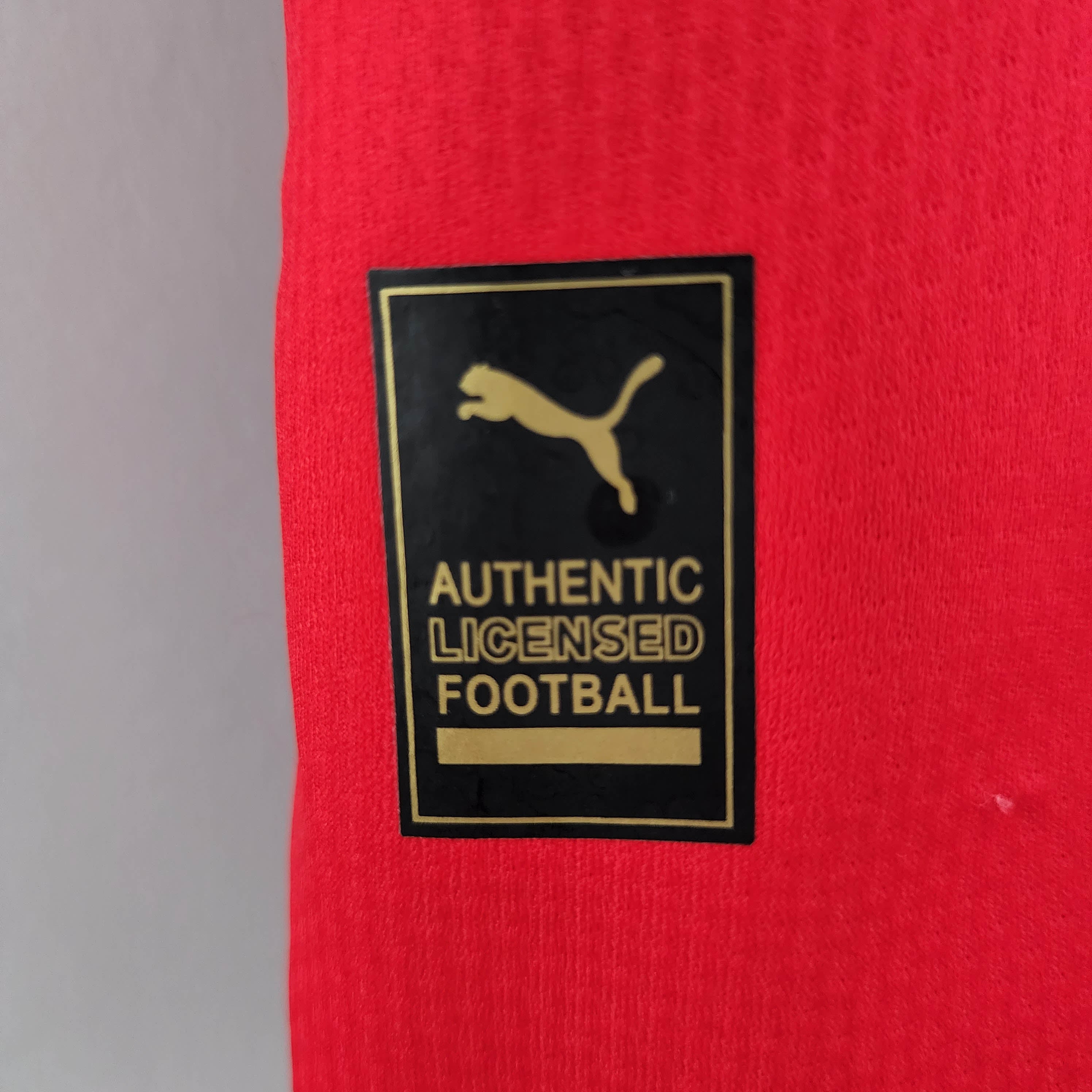 2022 FIFA World Cup Switzerland Home Soccer Shirt