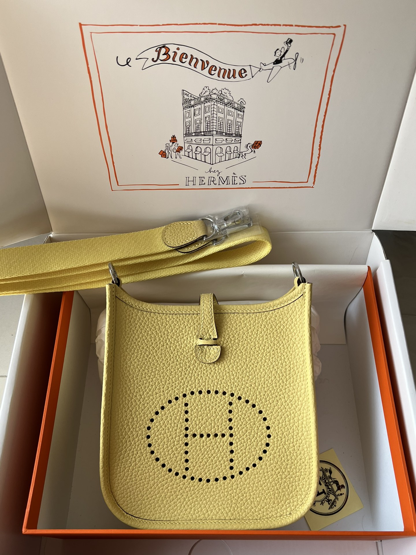 Hermes Evelyn 𝖬𝗂𝗇𝗂 17 Palladium Hardware -Top master