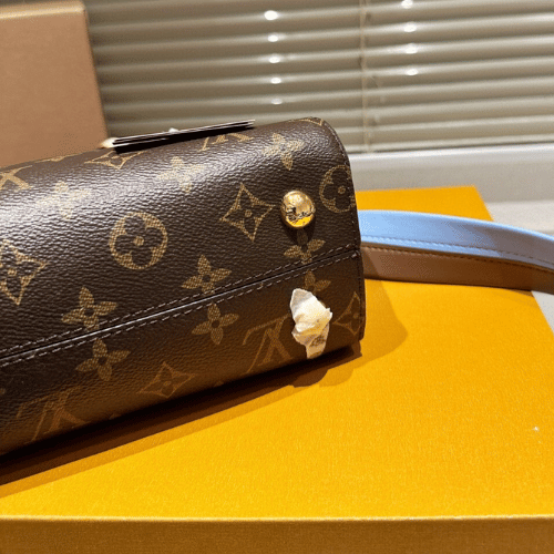 Louis Vuitton Cluny BB Monogram 9.8 Inches