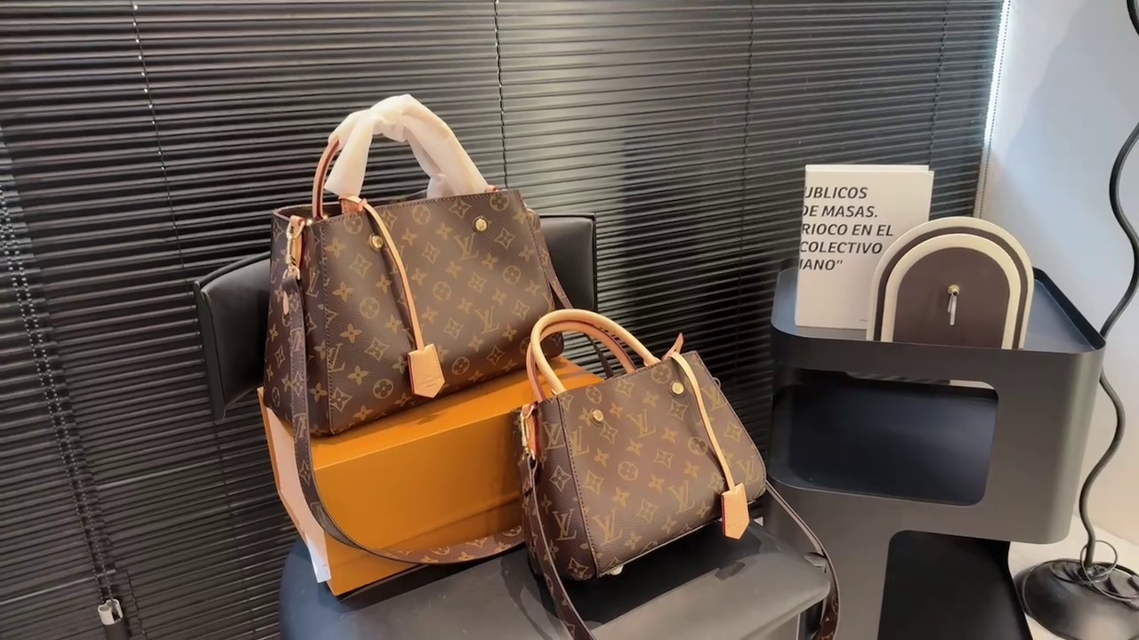 LV Montagne Bag