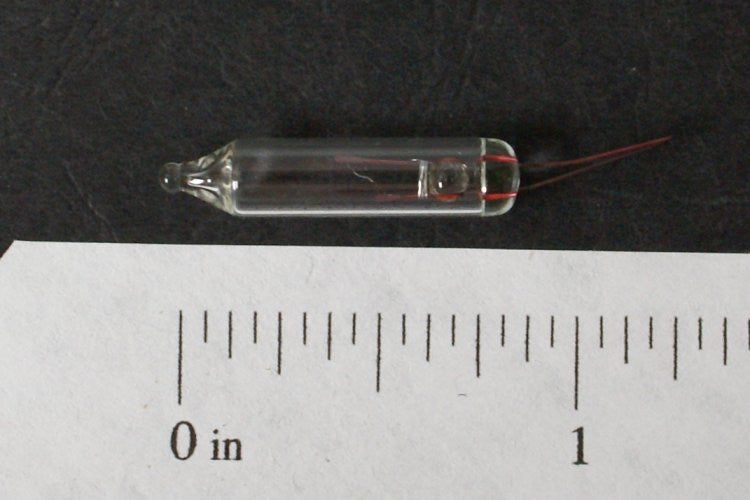 Clear Bulb