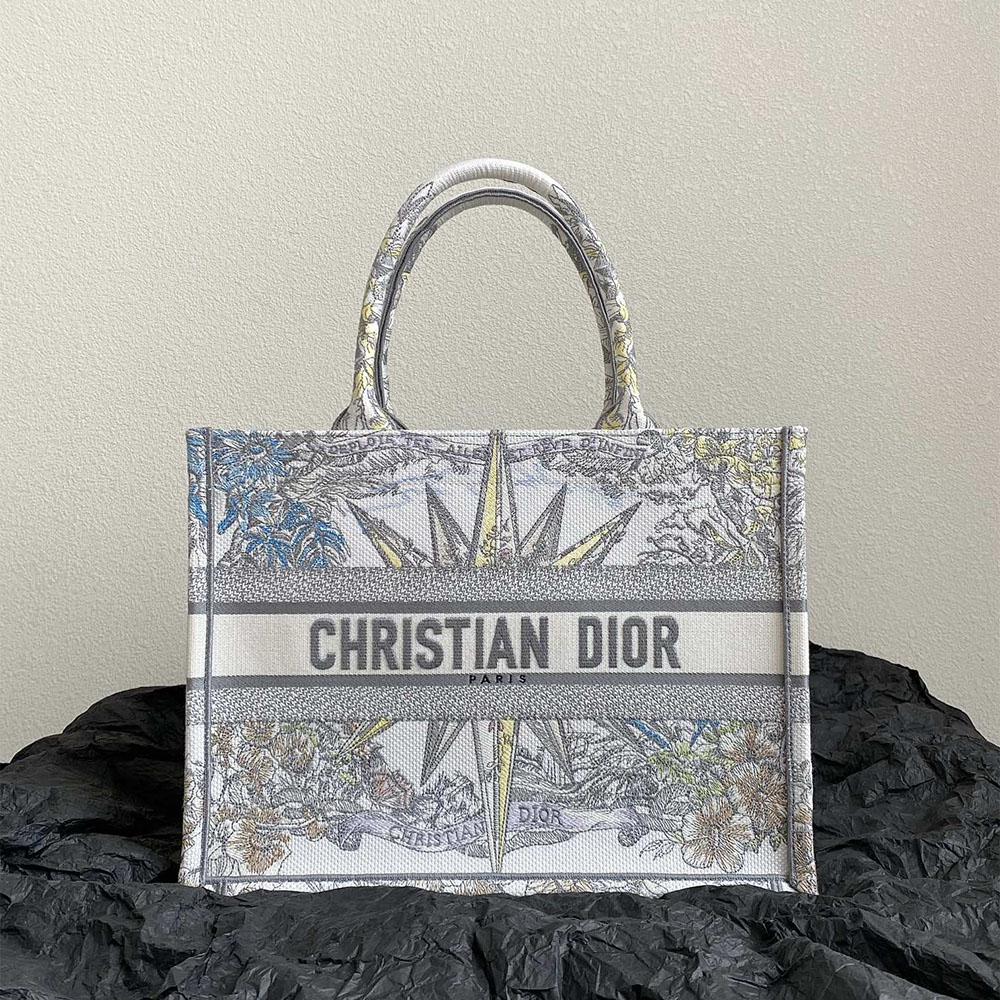 Dior Book Tote Starlight & Star Tote Bags