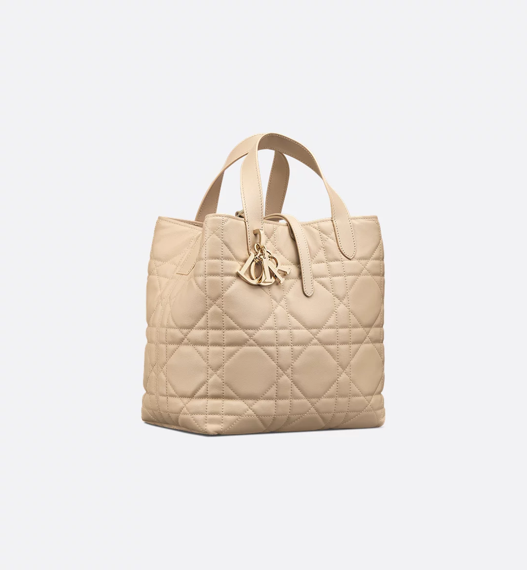 Medium Toujours Vertical Tote Bag