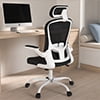Lioncin Office Chair, High Back Ergonomic Desk Chair, Breathable Mesh Desk Chair with Adjustable Lumbar Support and Headrest, Swivel Task Chair with Flip-up Armrests,Black