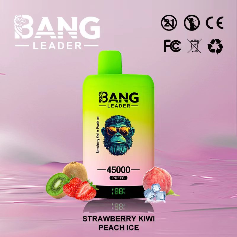 Bang Leader 45k Puffs 2-in-1