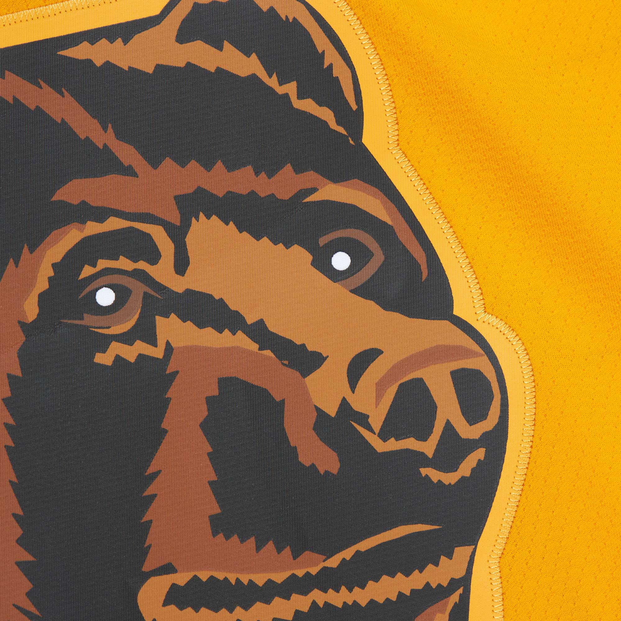 Ray Bourque Boston Bruins Mitchell & Ness  1996/97 Captain Patch Blue Line  Jersey – Gold