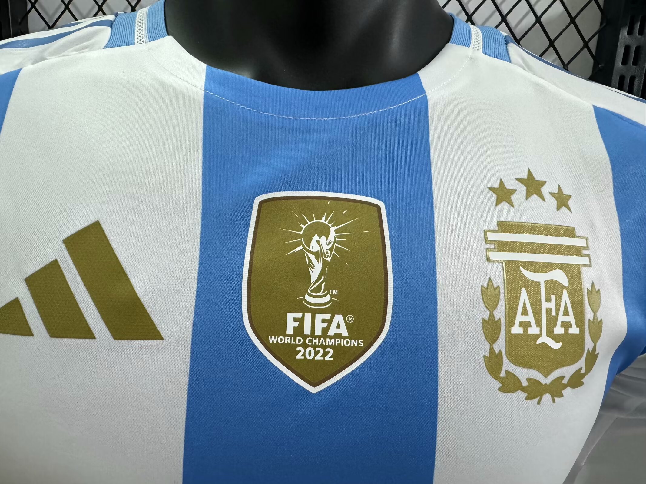 2024/25 Argentina Home Long Sleeve Shirt - Player Version