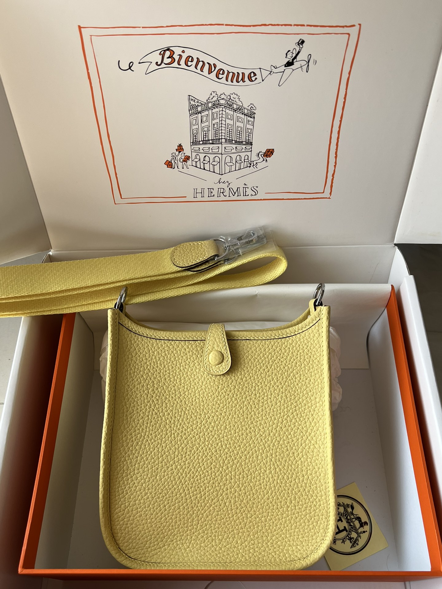 Hermes Evelyn 𝖬𝗂𝗇𝗂 17 Palladium Hardware -Top master