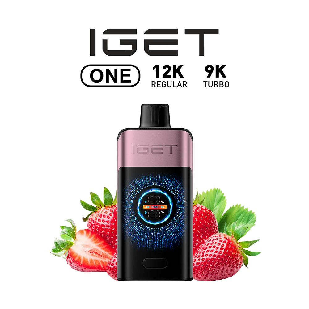 IGET ONE 12000 Puffs - All Flavors