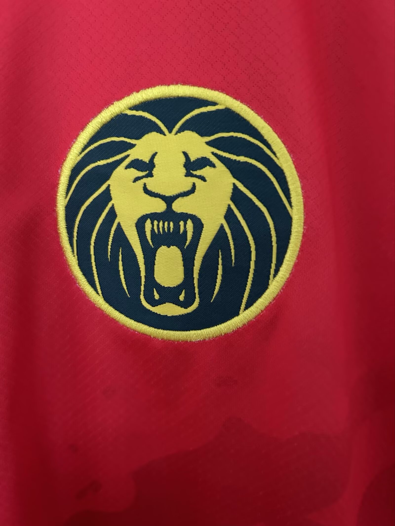 202-26 Cameroon Red - Jersey - Fan Edition