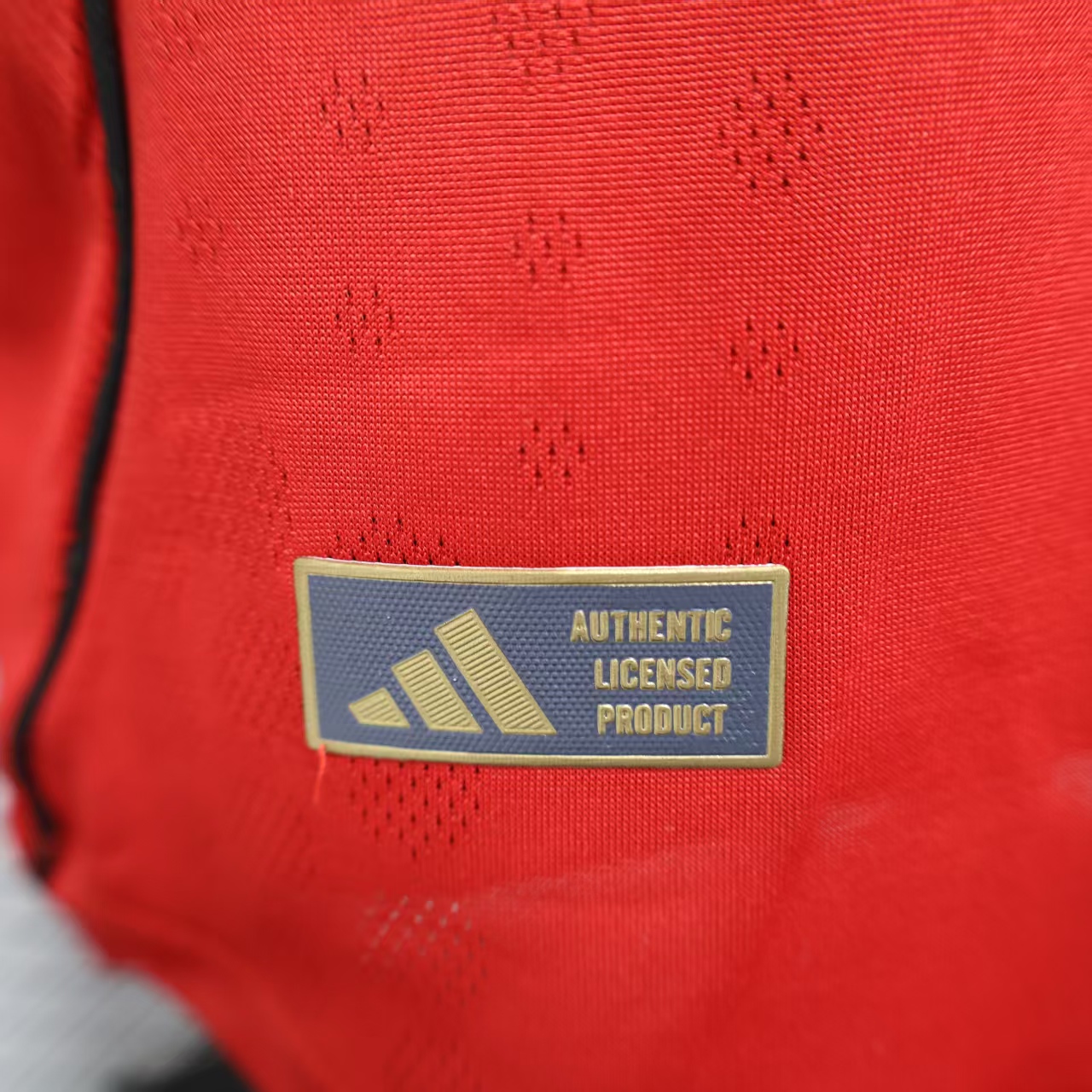 2025-26 Manchester United Home Jersey - Player Edition