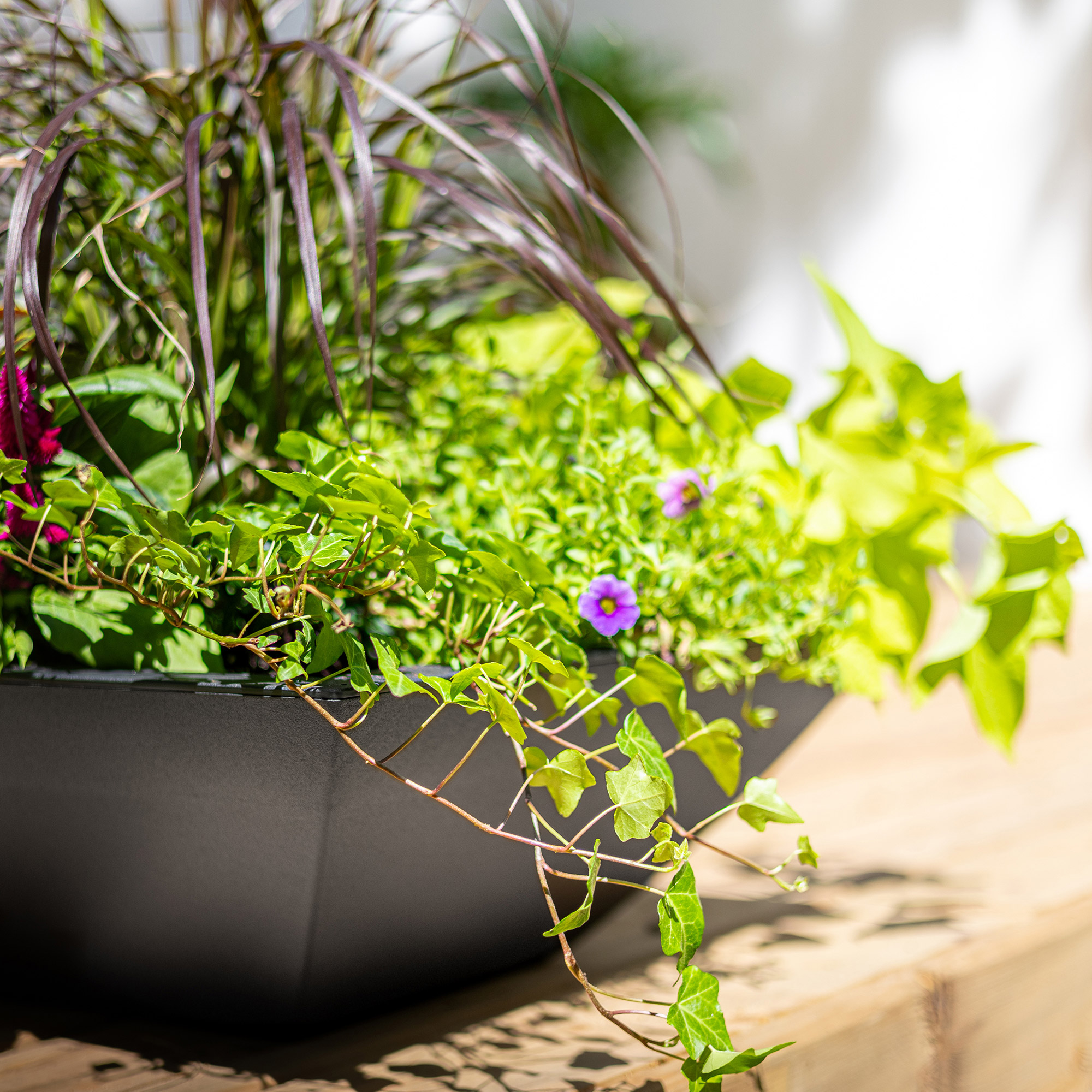Evolve 20 in. Square Bowl Planters, Black, 2-pack