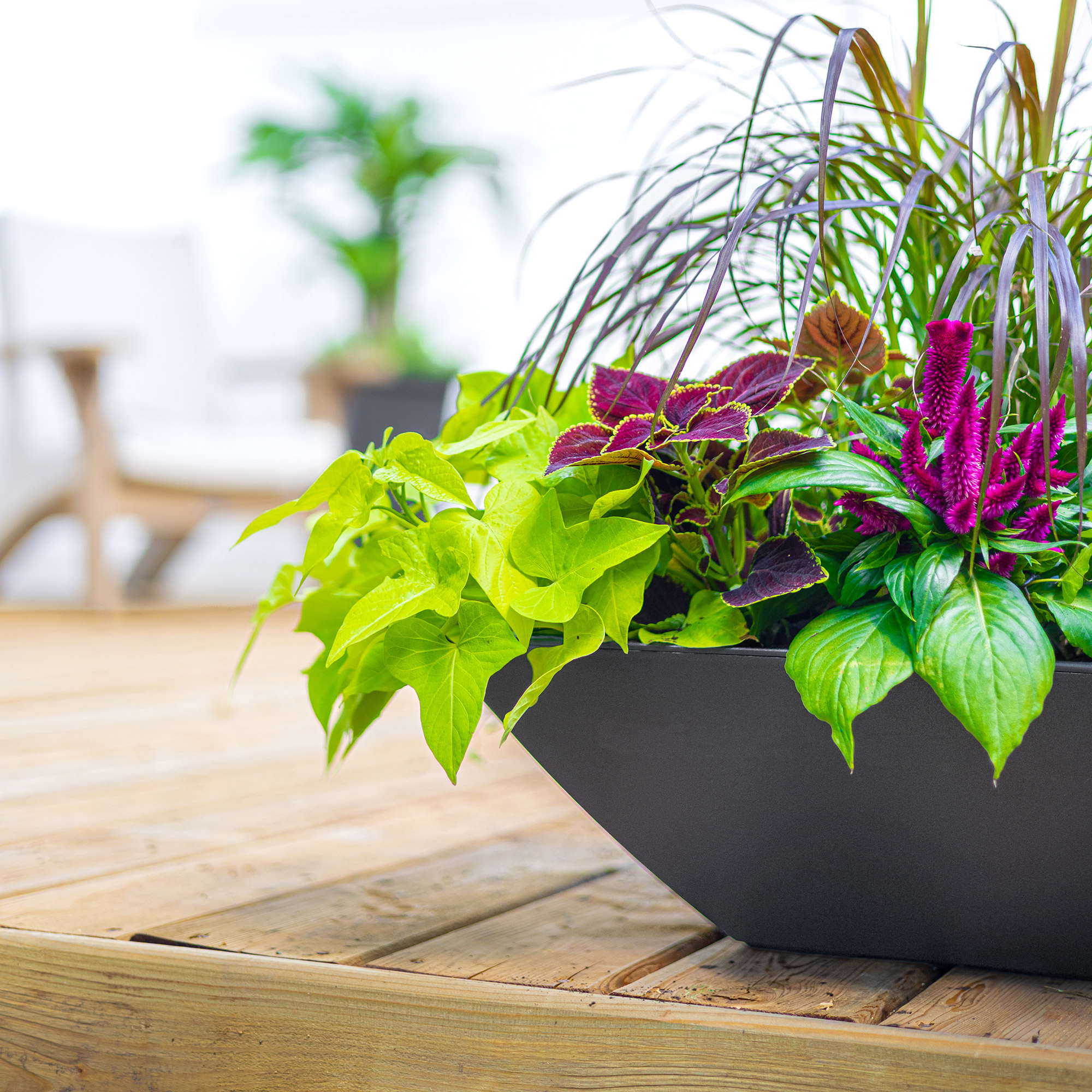 Evolve 20 in. Square Bowl Planters, Black, 2-pack