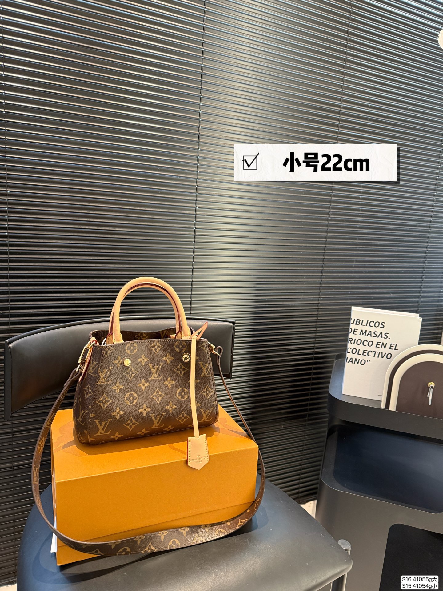 LV Montagne Bag