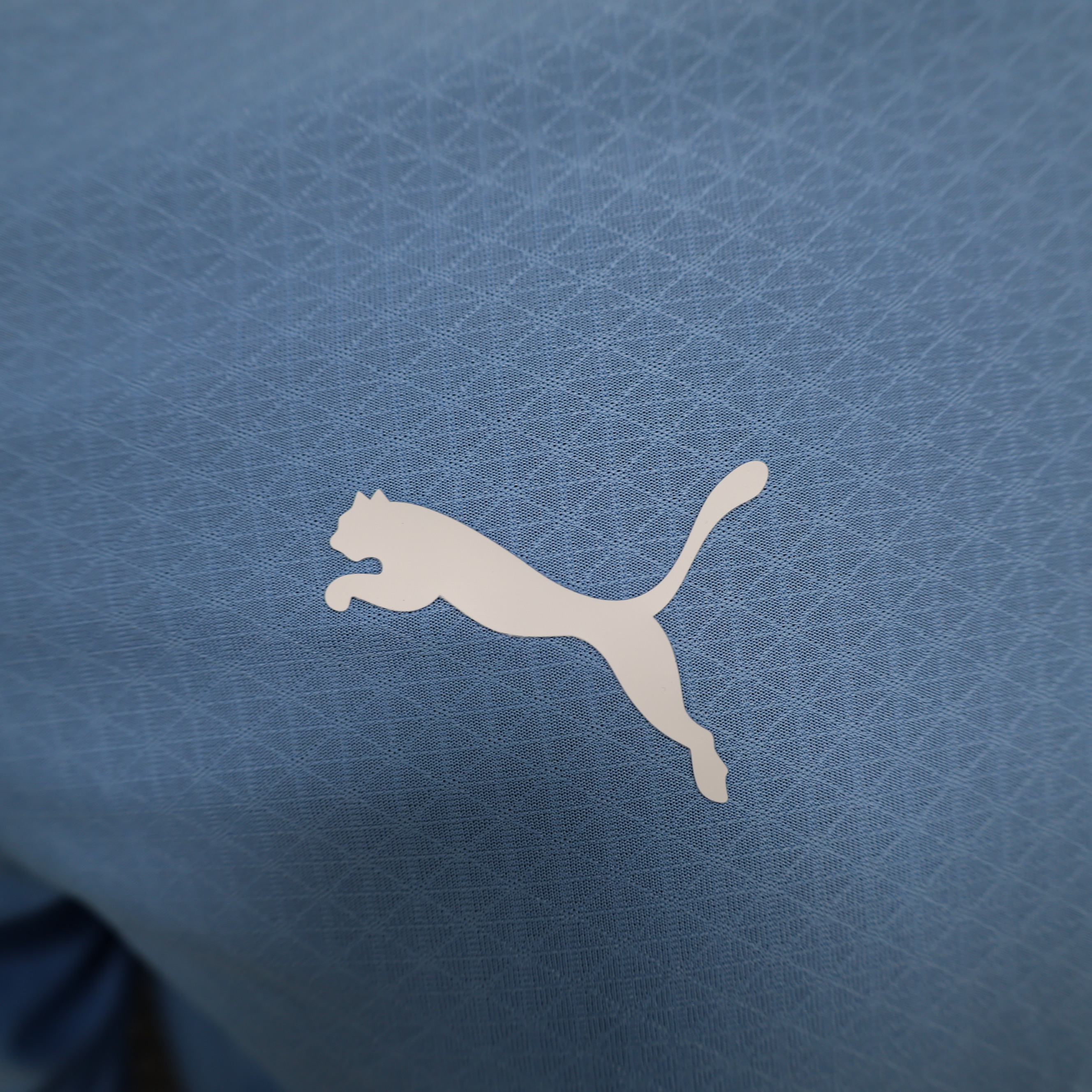 2024/25 Manchester City Home Long Sleeve - Player Edition
