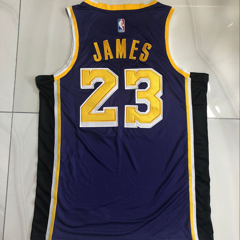 LeBron James Los Angeles Lakers  Purple 23 MN