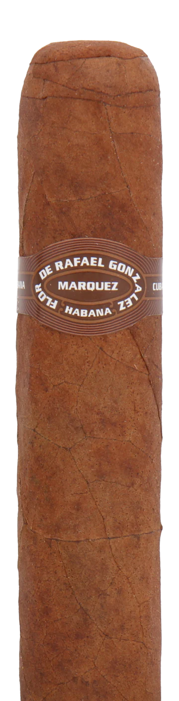 Rafael Gonzalez Coronas de Lonsdales Cuban Cigar - Single