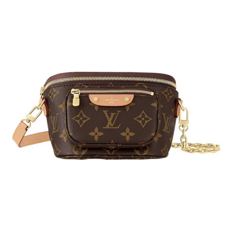 LV Mini Bumbag