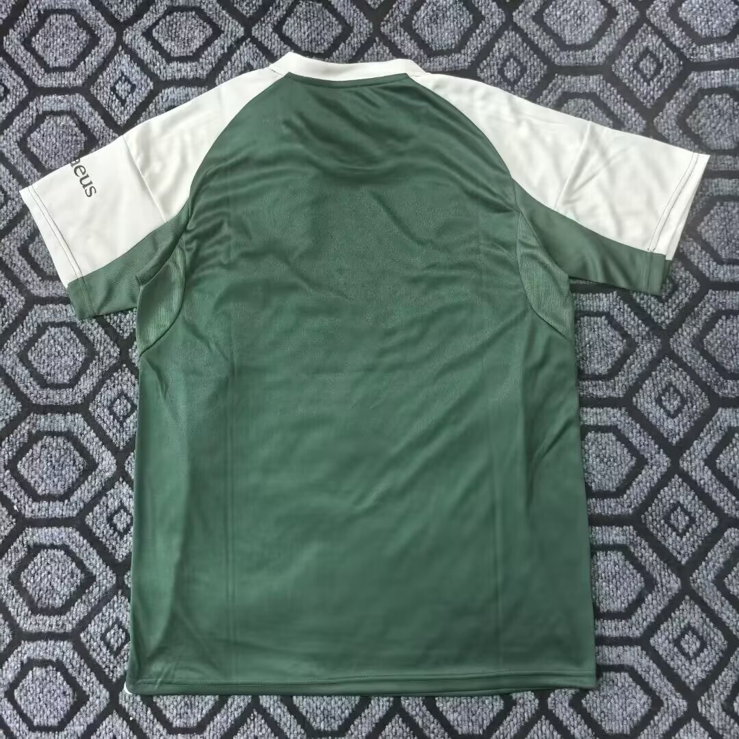 2025-26 Panathinaikos Home Jersey - Fans Edition