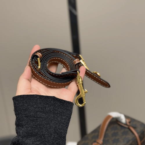 Celine Vanity Case Triomphe Brown 7.1 Inches