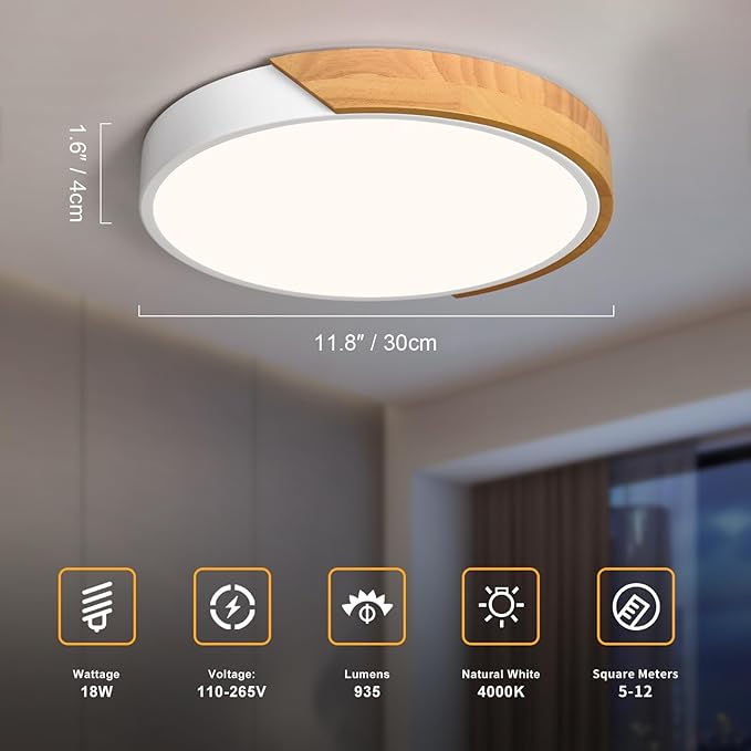 Modern LED Ceiling Light
