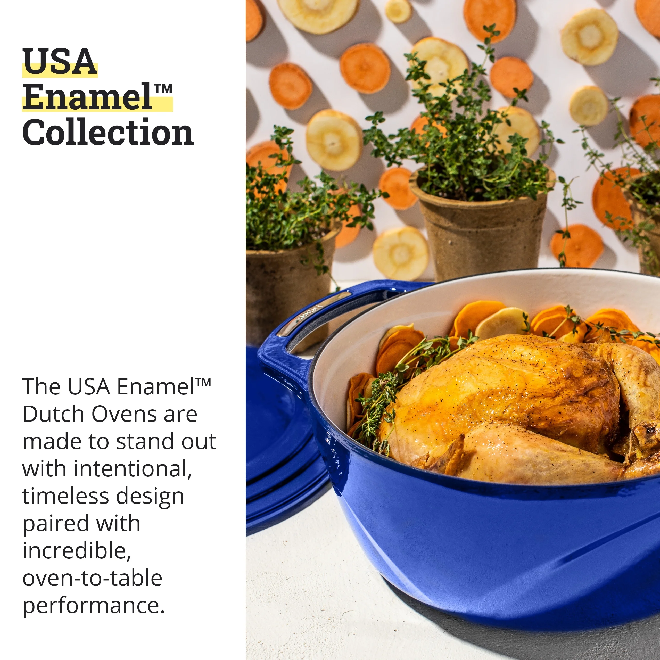 Lodge USA Enamel Dutch Oven, 7.5 qt., Blue