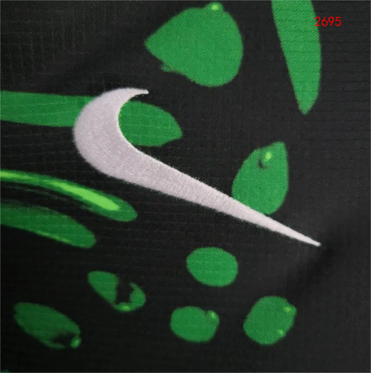 2024/25 Nigeria Away Fan Shirt