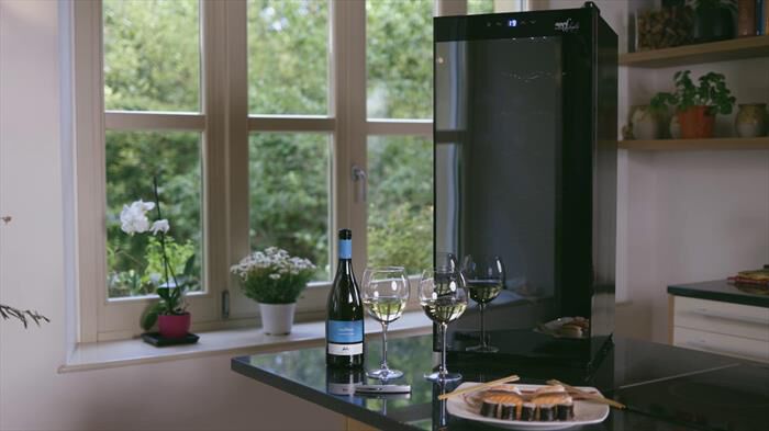 MELCHIONI FAMILY - Cantinetta VERMENTINO 18 C Classe G 18 bottiglie-nero