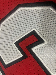 Dwayne Wade Miami Heat Red 3 MN