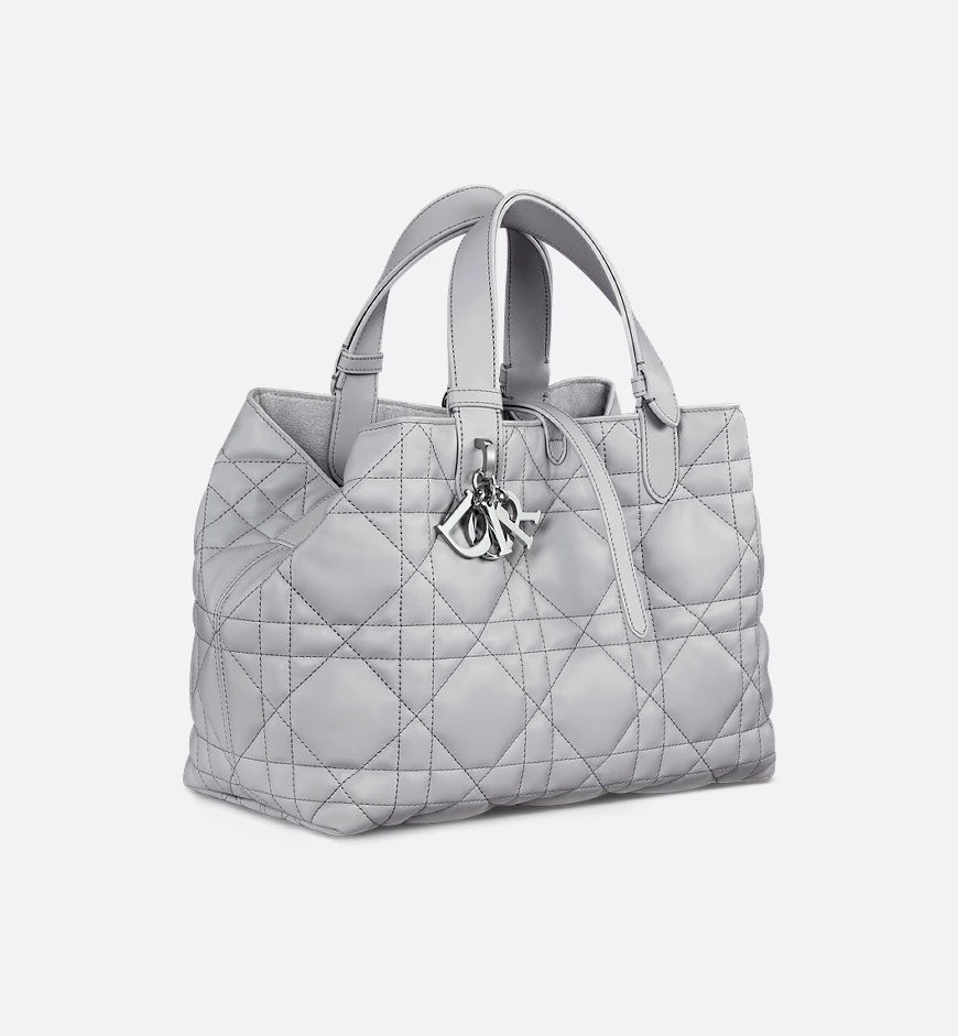Medium Toujours Bag HandBags
