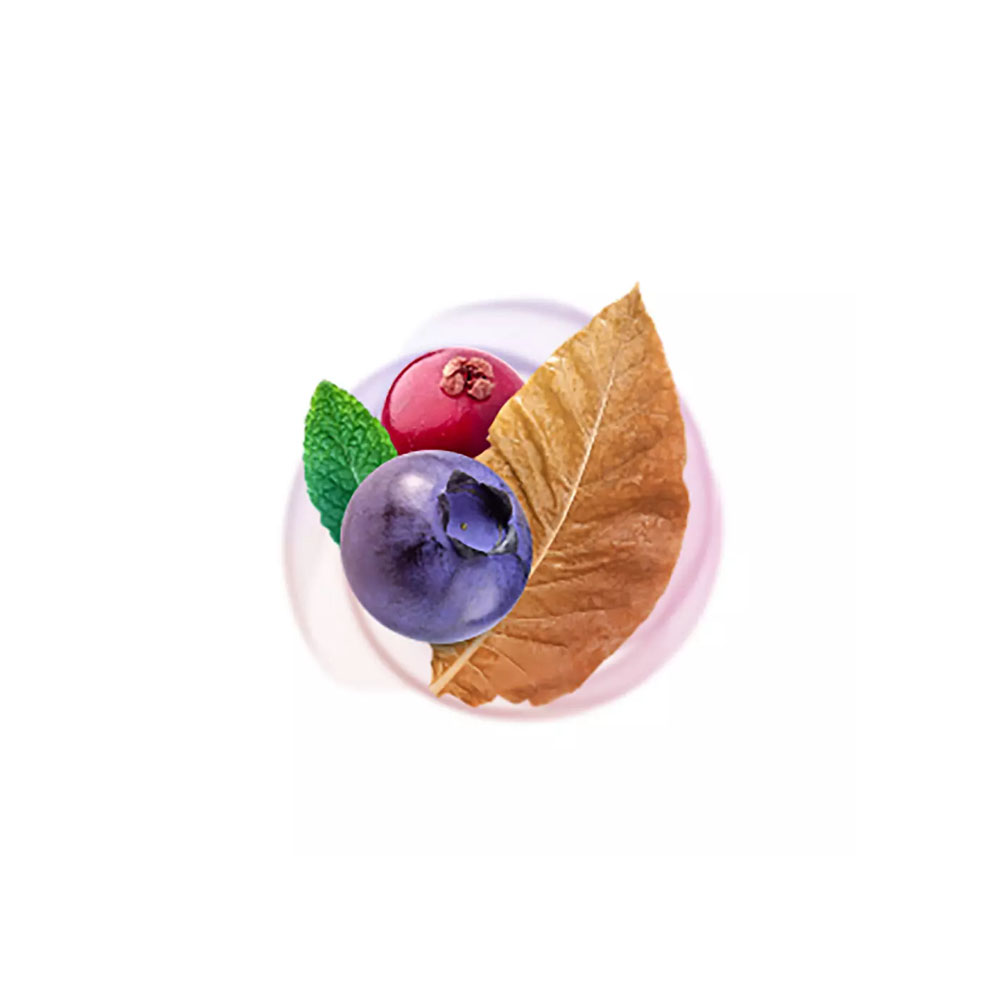 Lucky Strike Berry Menthol