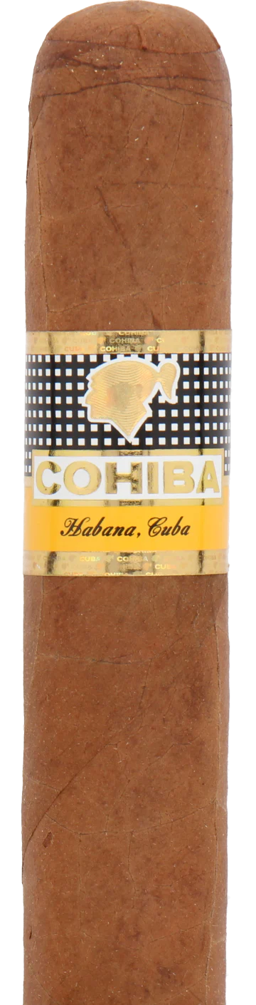 Cohiba Siglo VI Cuban Cigar - Single