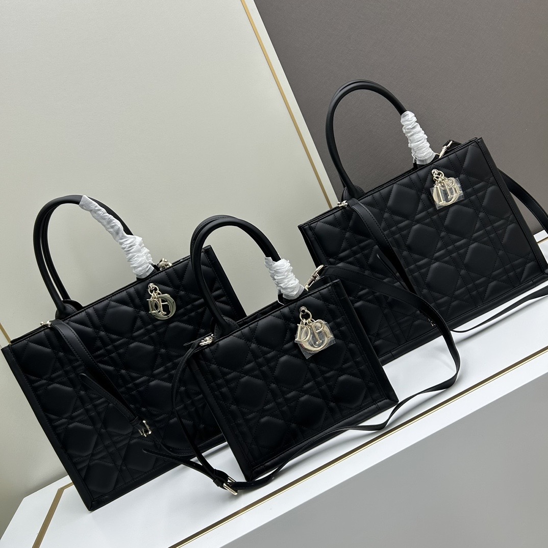 Dior Book Tote bag
