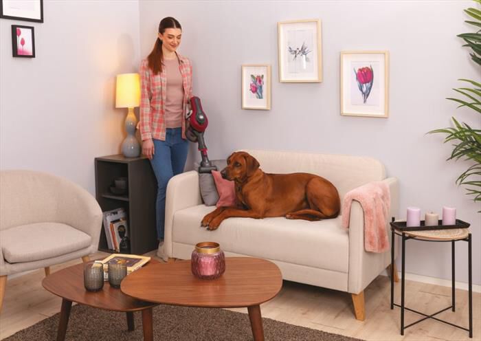 HOOVER - Aspirapolvere ricaricabile HF110P 011-Viola