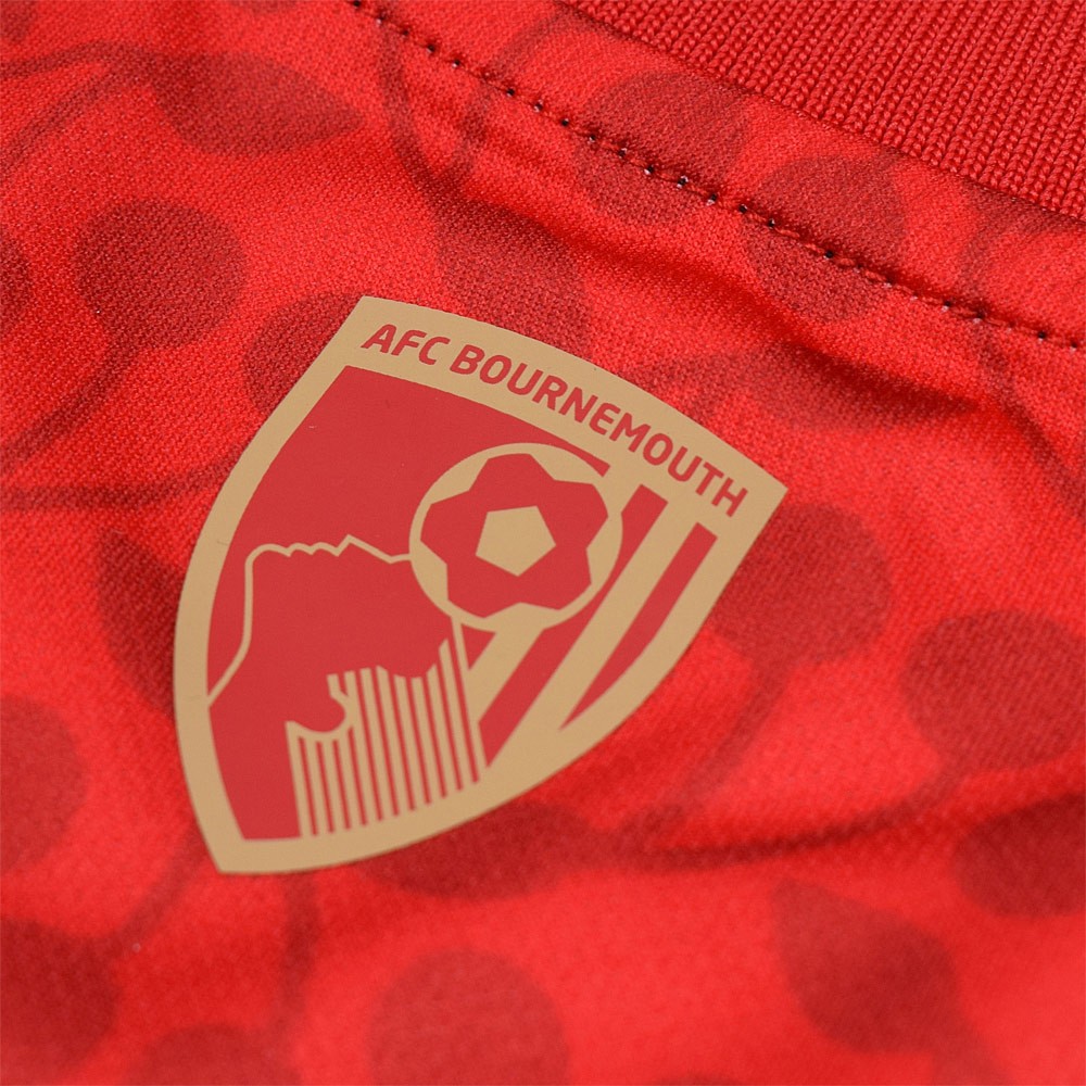 Bournemouth 2024-25 Pre-Season Away Kit